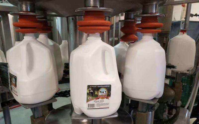 U.S. Milk Production to Lead Global Dairy Growth in 2026 U.S. Milk Production to Lead Global Dairy Growth in 2026