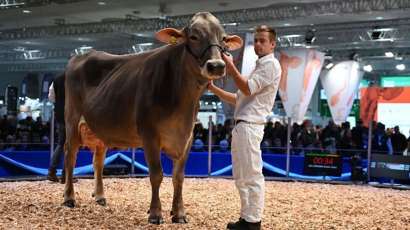 EuroTier 2026 to Showcase AI and Robotics Solutions for Livestock Farming EuroTier 2026 to Showcase AI and Robotics Solutions for Livestock Farming