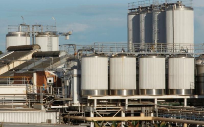 Lactalis Invests $100 Million in New Zealand's Dairy Market with Mainland Acquisition Lactalis Invests $100 Million in New Zealand's Dairy Market with Mainland Acquisition