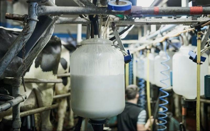 Aumento de la Producción Global de Leche Impulsado por la Fuerte Producción Europea y Americana Aumento de la Producción Global de Leche Impulsado por la Fuerte Producción Europea y Americana