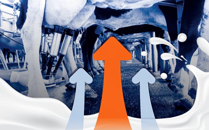 U.S. Milk Production Increases by 4% Year-Over-Year Amid Herd Expansion U.S. Milk Production Increases by 4% Year-Over-Year Amid Herd Expansion